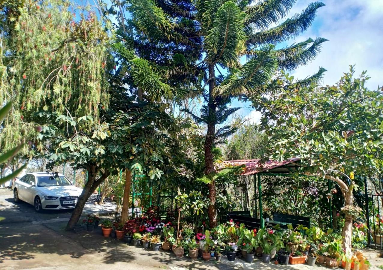 Silver Spruce Entire Nature Villa Kotagiri Buitenkant foto