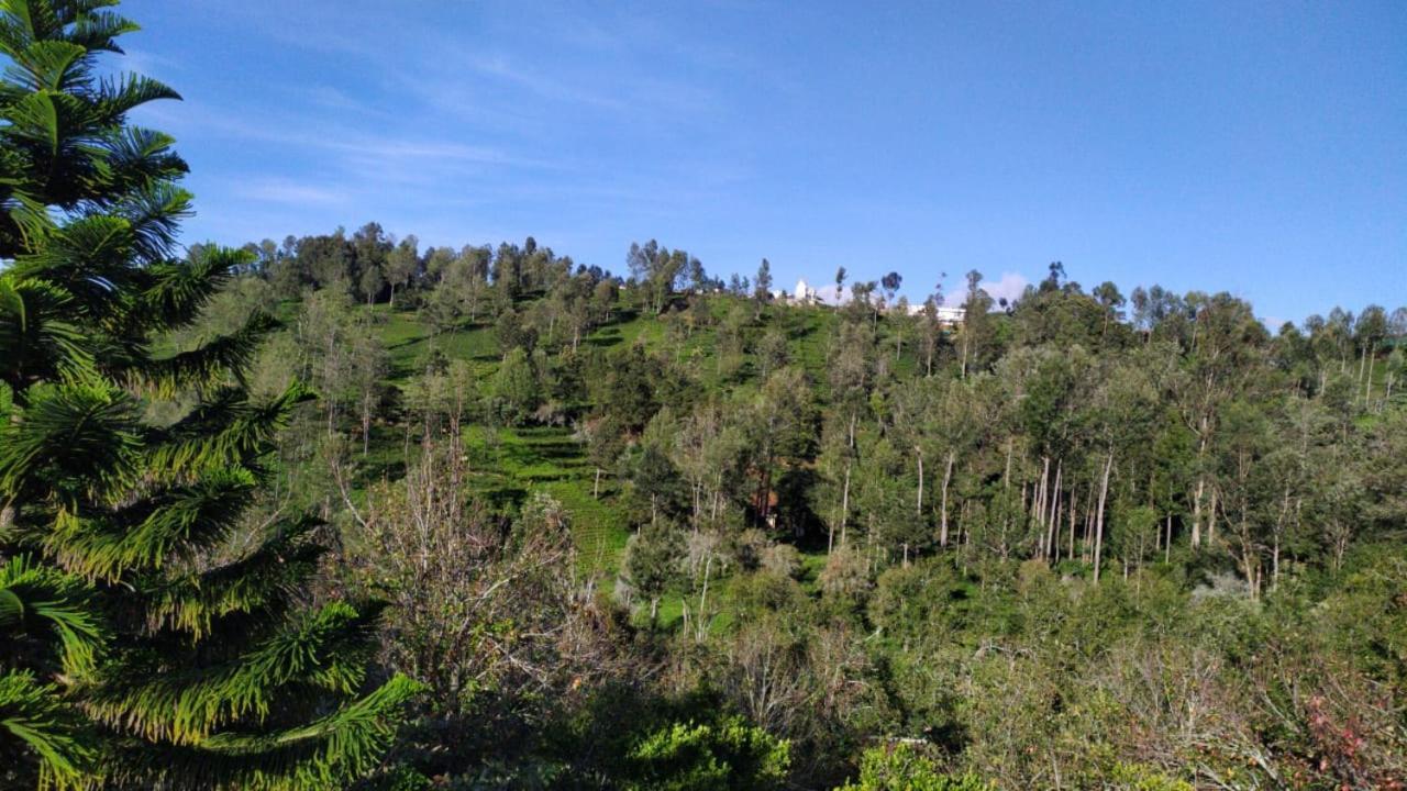Silver Spruce Entire Nature Villa Kotagiri Buitenkant foto