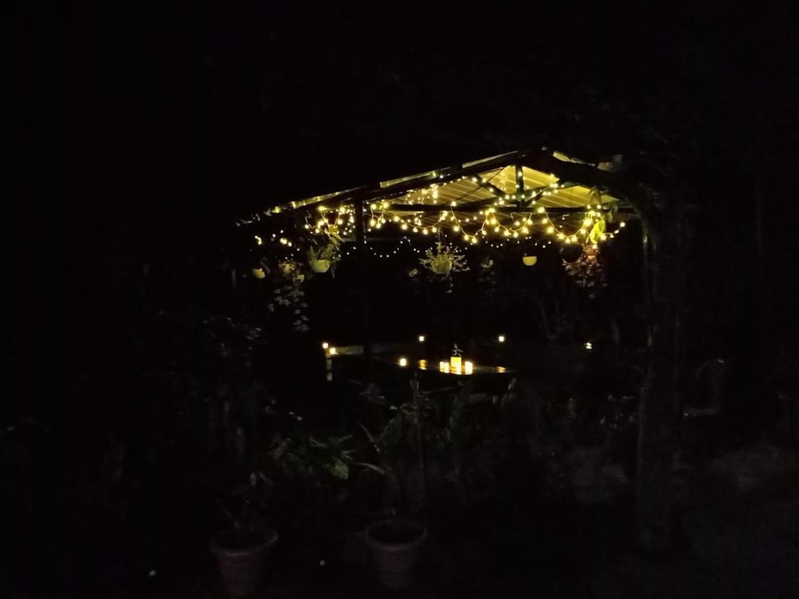 Silver Spruce Entire Nature Villa Kotagiri Buitenkant foto