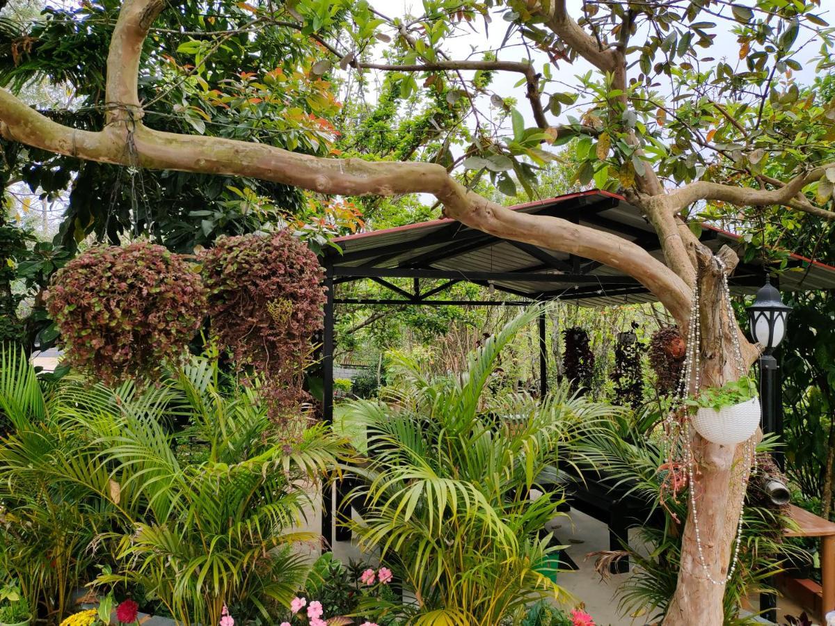 Silver Spruce Entire Nature Villa Kotagiri Buitenkant foto