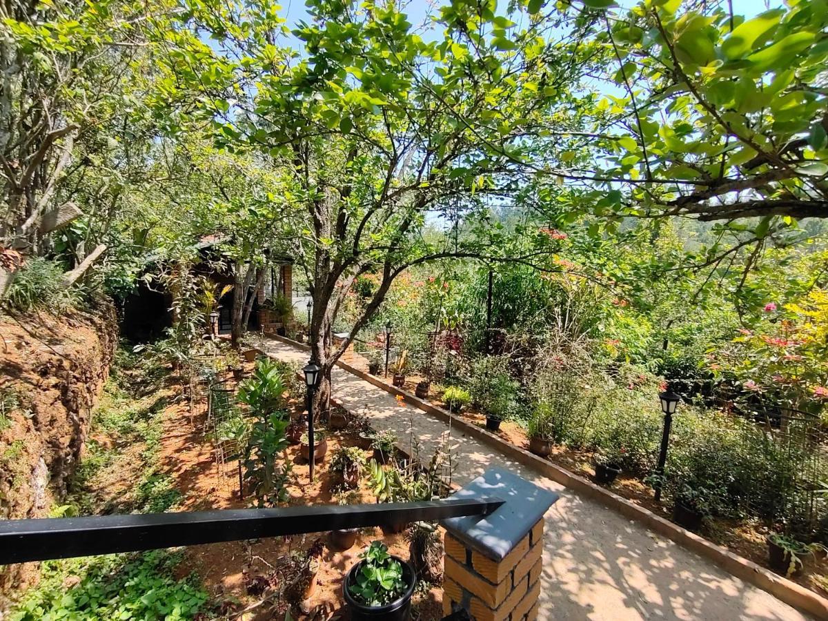 Silver Spruce Entire Nature Villa Kotagiri Buitenkant foto