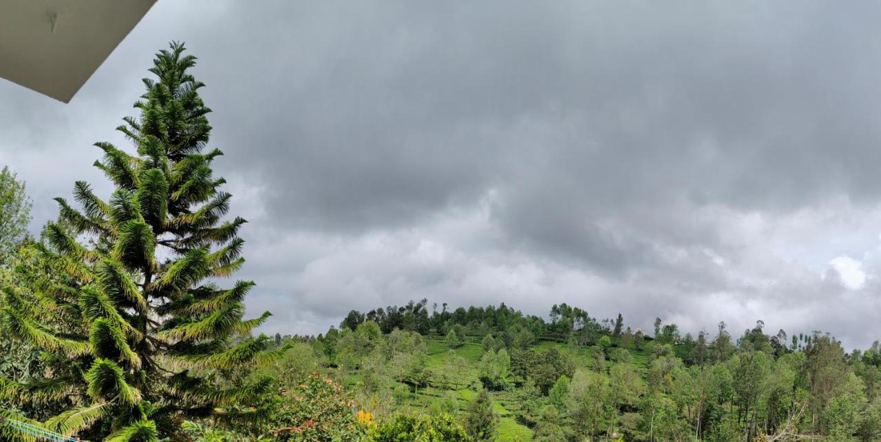 Silver Spruce Entire Nature Villa Kotagiri Buitenkant foto
