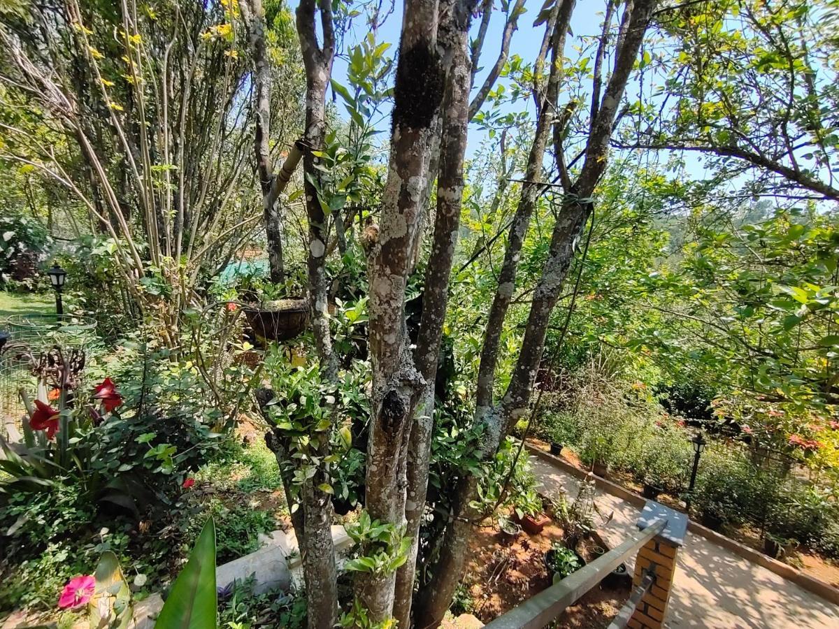 Silver Spruce Entire Nature Villa Kotagiri Buitenkant foto